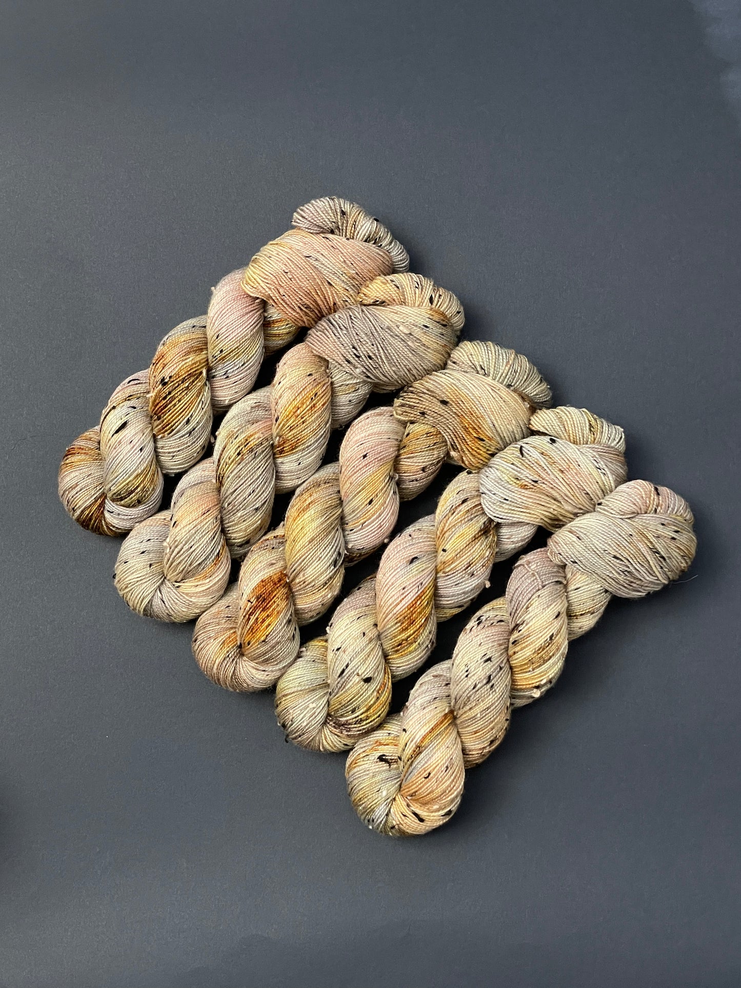 Sea Shells