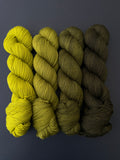 Westknits Geogradient MKAL 2023 Yarn Kit