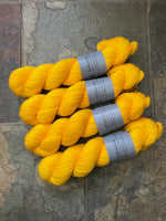 Goldenrod - Hand dyed merino/nylon